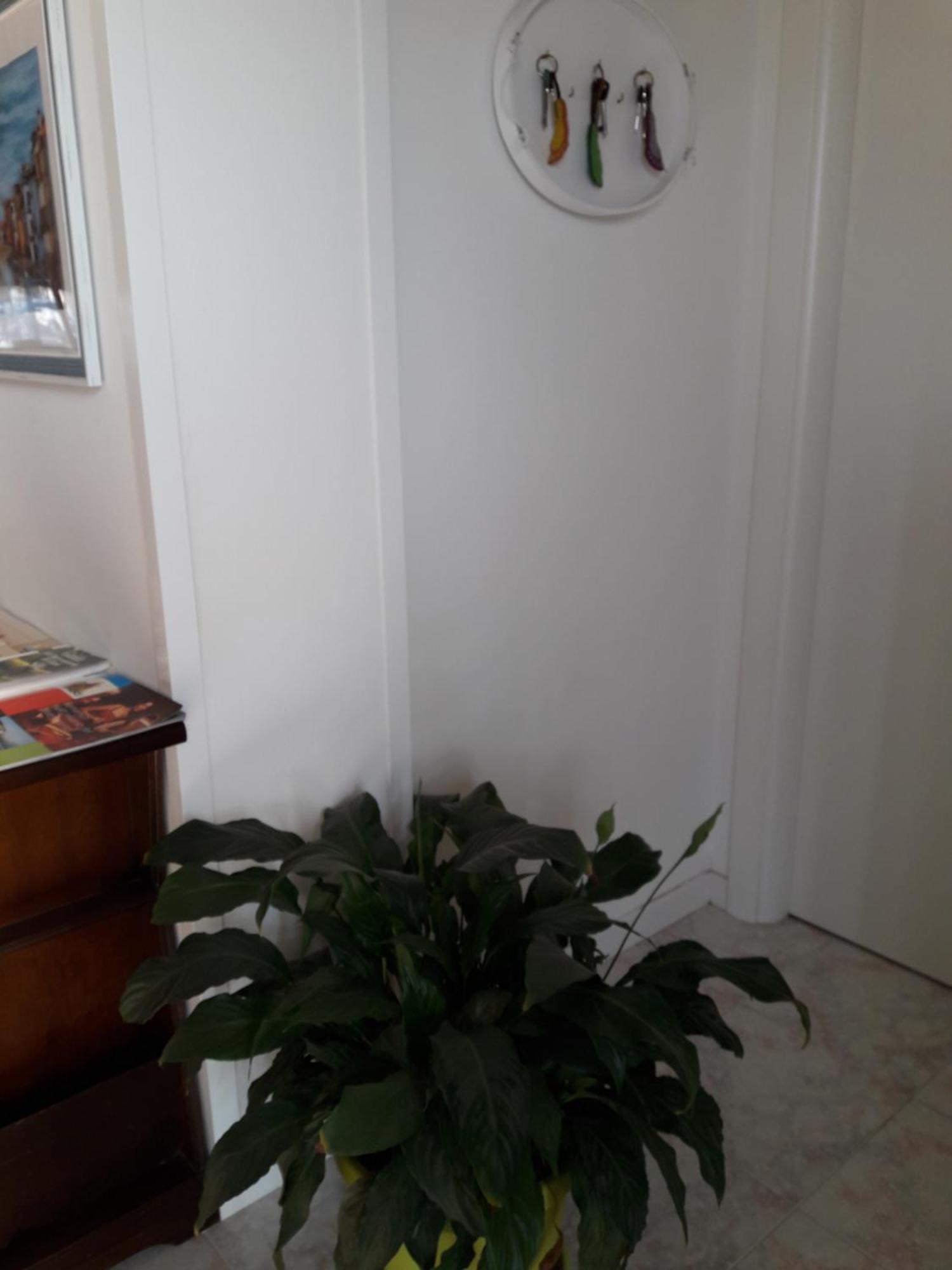 קסאלה סול סילה B&B A Un Passo Da מראה חיצוני תמונה